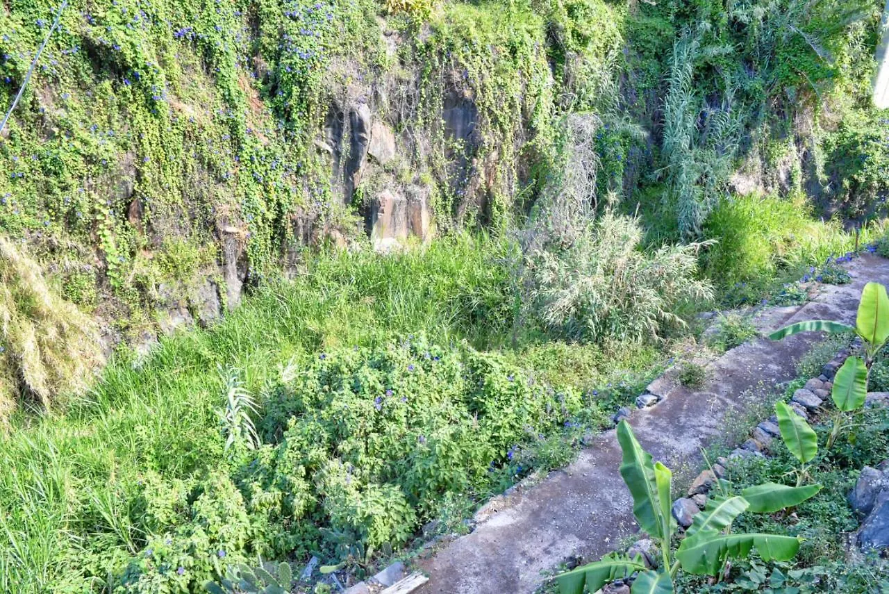 Apartamento Casa Calhau Da Lapa, A Home In Madeira Campanário