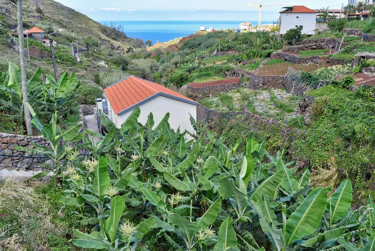 Casa Calhau Da Lapa, A Home In Madeira Portugal